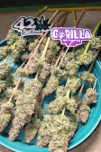Instagram Gorilla Punch Auto