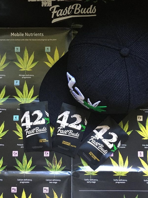 Instagram 420 Hemp Hat