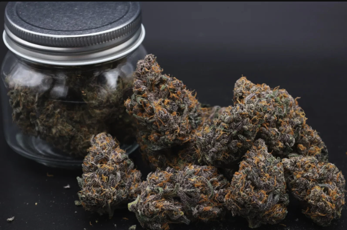 Instagram Cherry Cookies Trial Pack