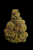 Instagram Gorilla Melon™