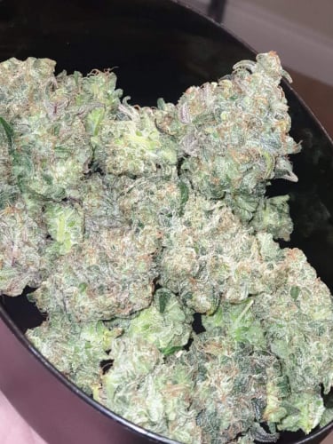 Instagram Gelato Auto