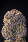 Instagram Cherry Cola Auto