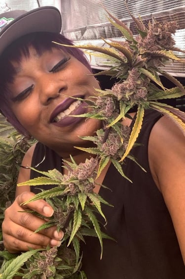 Instagram Purple Lemonade Auto