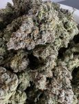 Instagram Papaya Cookies Auto™