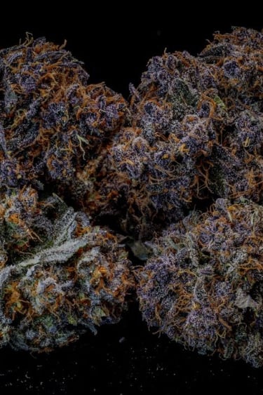 Instagram Lemon Cherry Cookies Auto