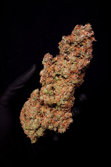 Instagram Pound Cake Auto