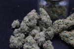 Instagram Garlic Mint Sherbet Auto™