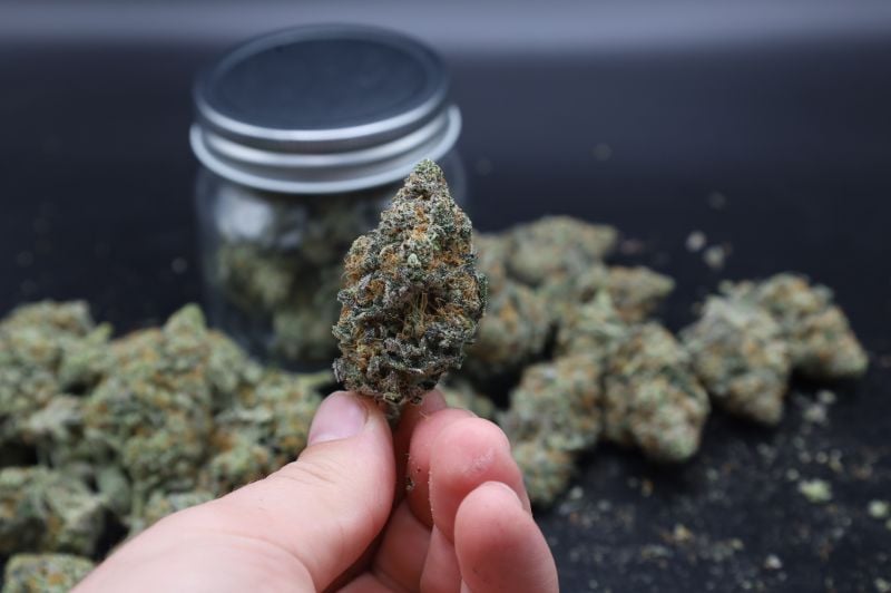 Instagram Mendo Guava Auto