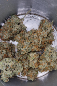 Instagram Gelato Auto