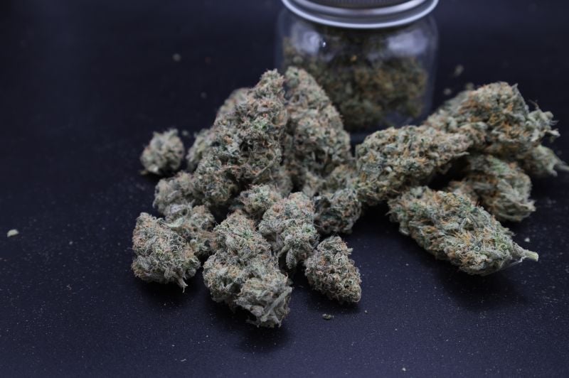 Instagram Garlic Mint Sherbet Auto