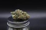 Instagram Pineapple OG Auto™