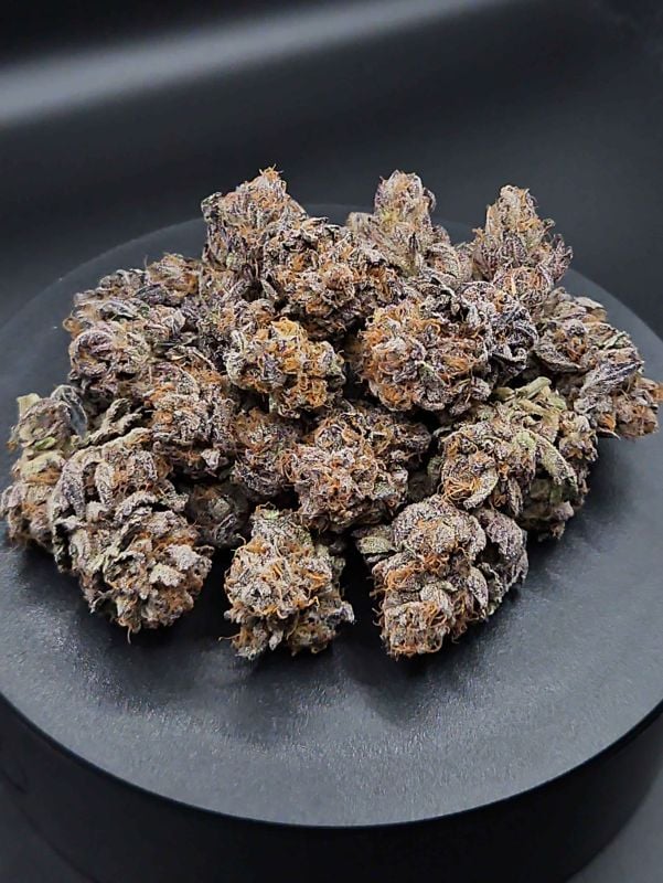 Instagram Biscotti Gelato