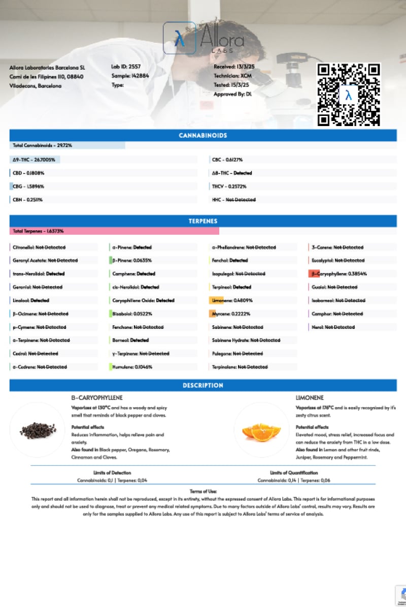Photo of Frostbanger Auto