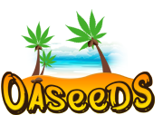 Green Crack Feminised Seeds - FastBuds Autoflowering Cannabis Seeds