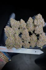 Banana Purple Punch Auto