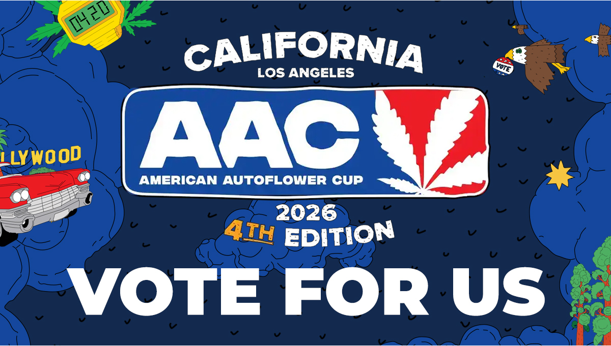 Votez pour nous à lAmerican Autoflower Cup 2026 !