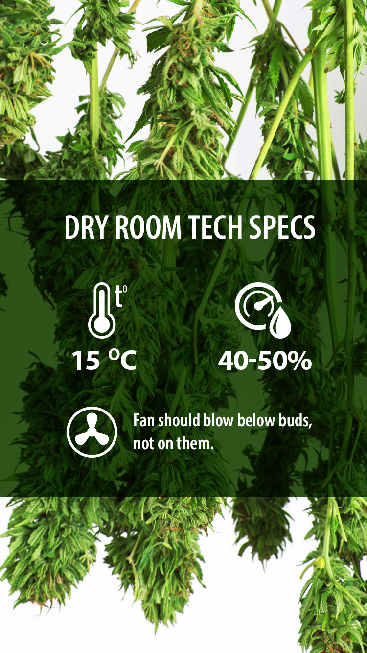 Best Conditions For Your Drying Room Web Stories FastBuds   Bg 0c289a61c299b3350c671084400ccdab  1600