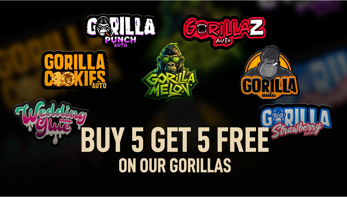 Koop 5, 5 gratis op al onze Gorilla strains