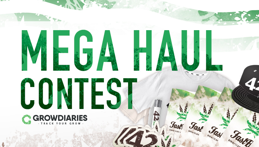 Grow Big and Win Big in Fast Buds' Mega Haul Contest Grow Big and Win Big in Fast Buds' Mega Haul Contest