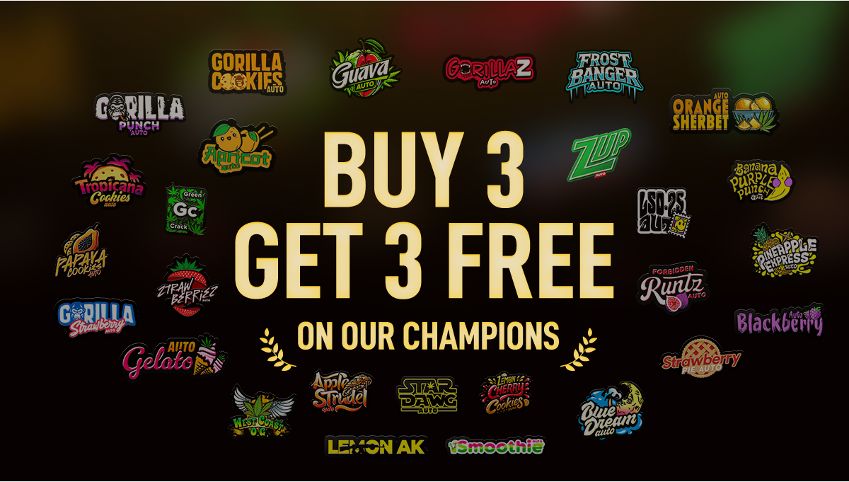 Achetez-en 3, obtenez-en 3 gratuites sur toutes nos variétés gagnantes