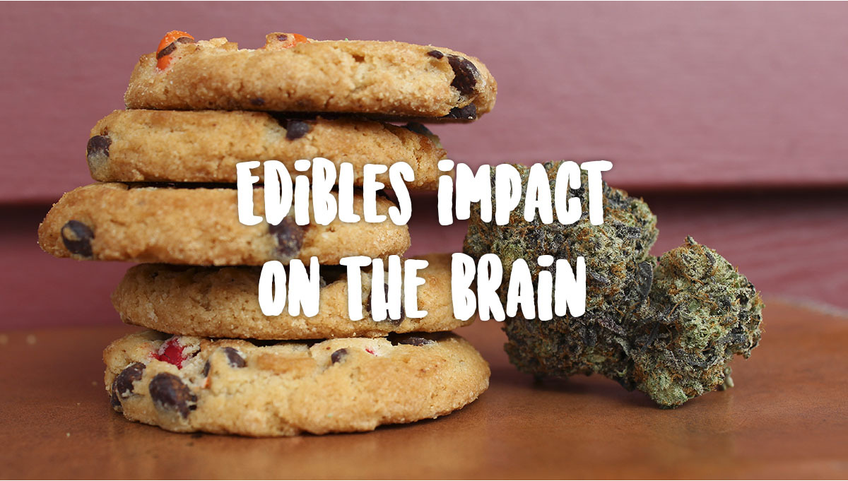 Edibles Impact On Your Brain Fast Buds