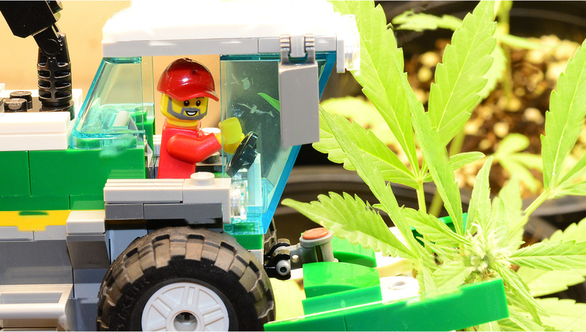 Vidunderlig Hvor Menda City LEGO Will Only Use Hemp Plastic in 10 Years | Fast Buds