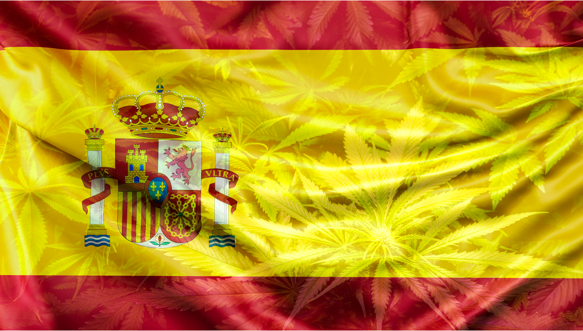 The Spanish Agency of Medicines Approves The Cultivation of 3 Hectares ...