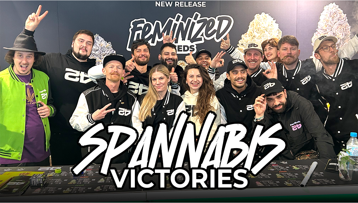 Cinci de Aur: Conducem piața de canabis