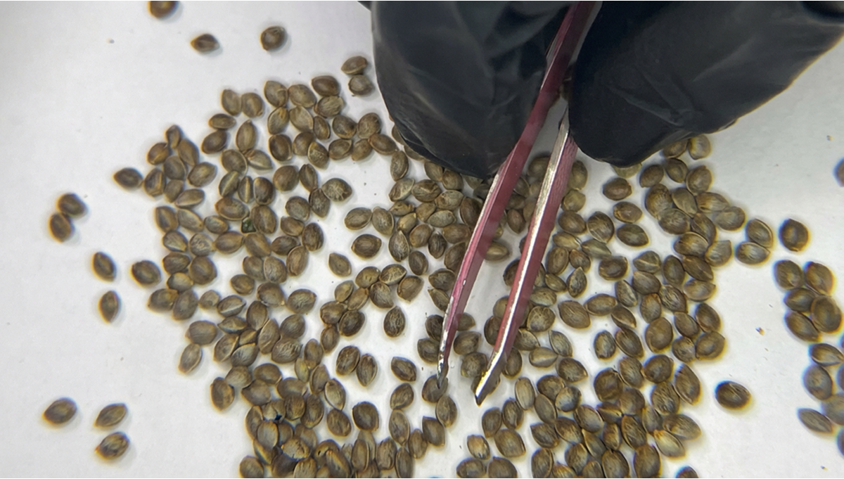 Vr kvalitetskontrollprosess