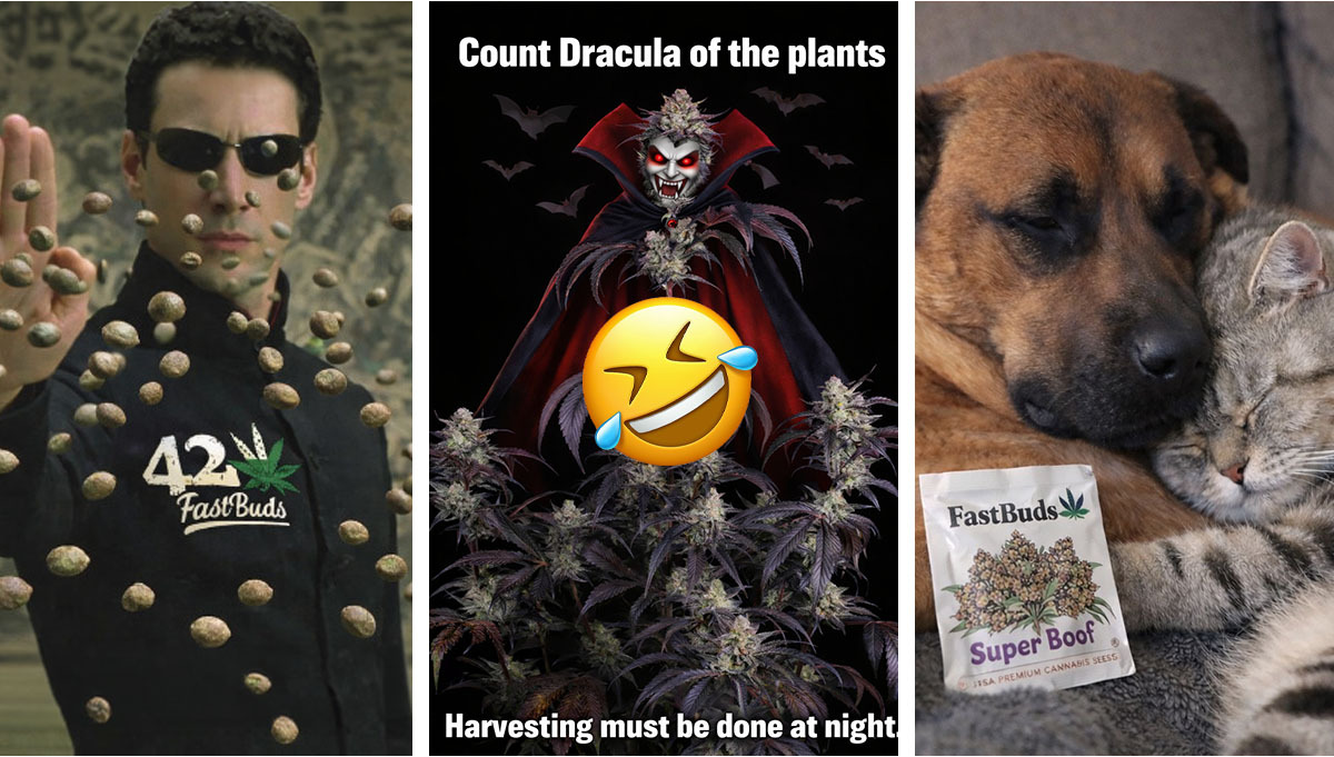 Zwycięzcy Lutowego Konkursu Memów na Discordzie