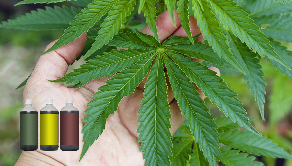 Co To Jest Przekarmienie I Jak To Naprawi