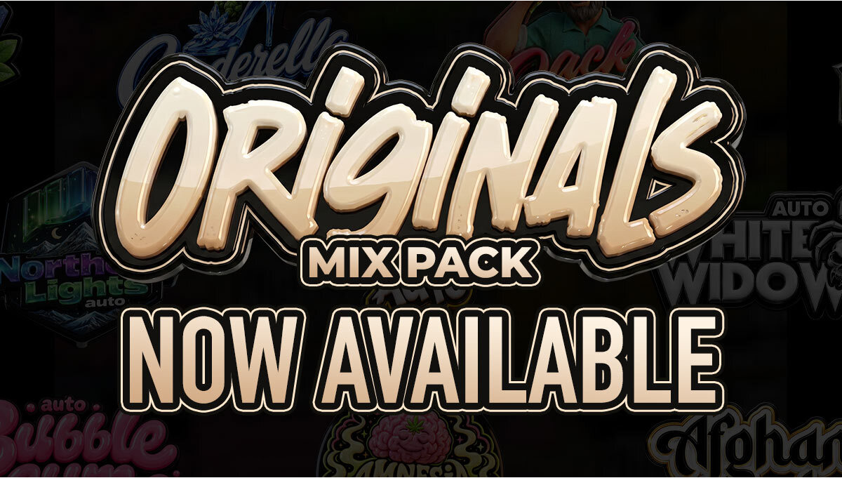 The Originals Mix Pack już dostępny