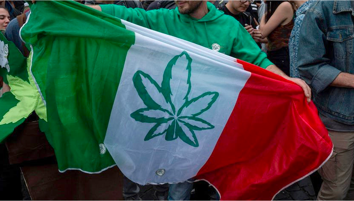 500 000 Signatures In Less Than A Week Italy Wants Cannabis   Bg A9393a7caf2460b91f776f09a93a5a1c 