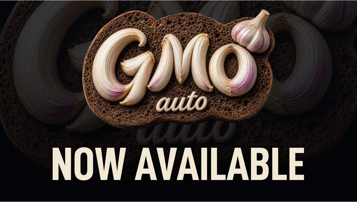 GMO Auto È Ora Disponibile