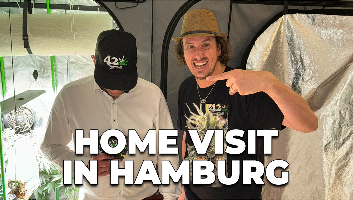 Grow Tour | A nossa equipa visita o cultivo do Patrick em Hamburgo