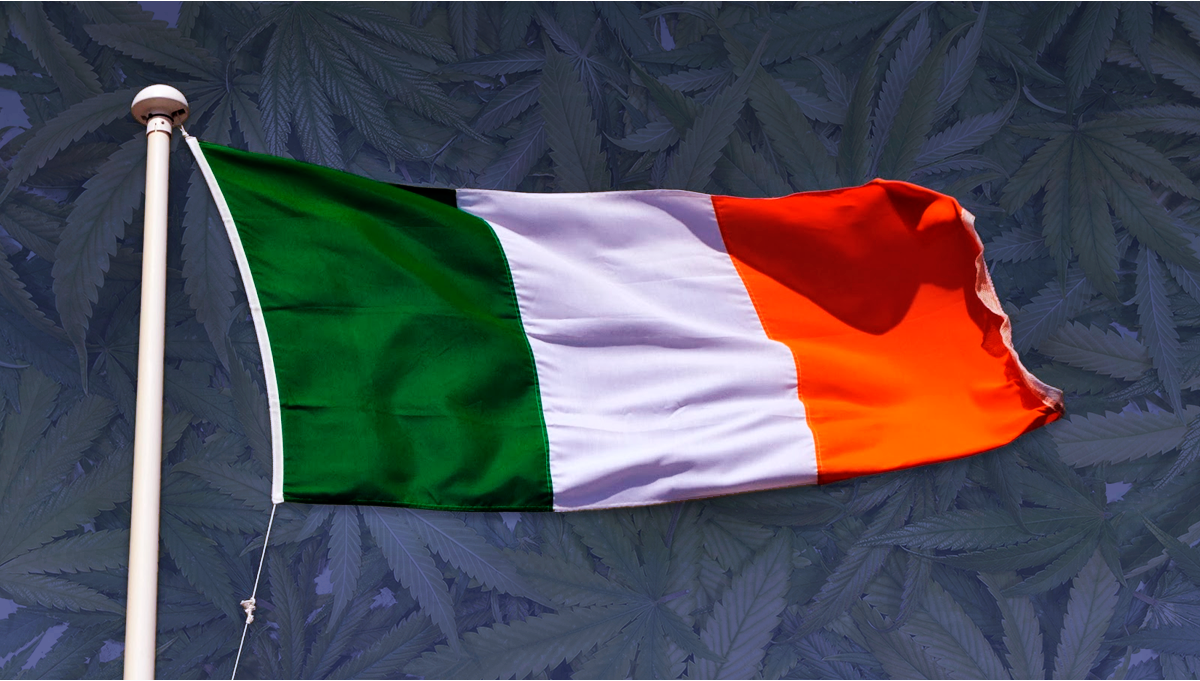 Weed in Ireland Cannabis Legal Status Guide Fast Buds