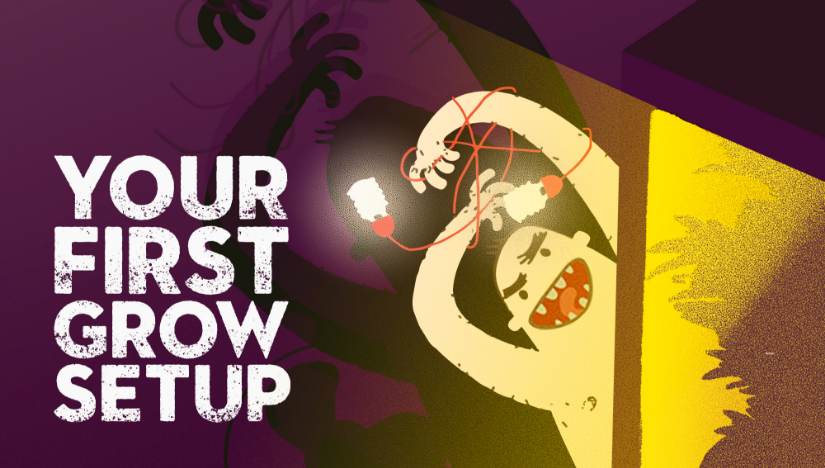 Tu Primer Cultivo Cmo Empezar a Cultivar Cannabis Autofloreciente