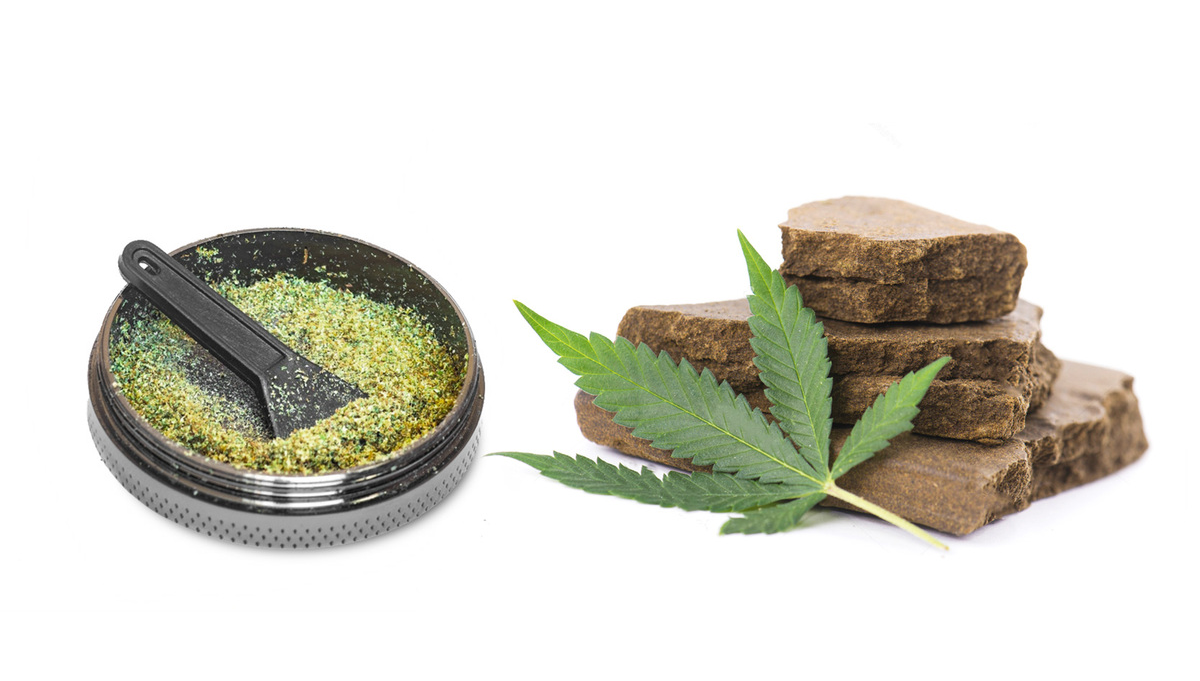 Concentrados de cannabis: hachis en seco vs hachis al aguaSemillas de  marihuana Autoflorecientes FastBuds