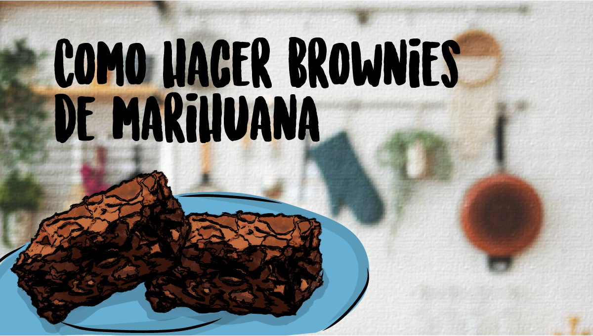Como Hacer Brownies de Marihuana - Semillas de marihuana Autoflorecientes  Fast Buds