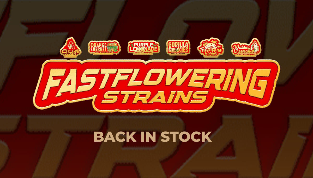 Генетика Fastflowering возвращается: возвращение к селекционному проекту