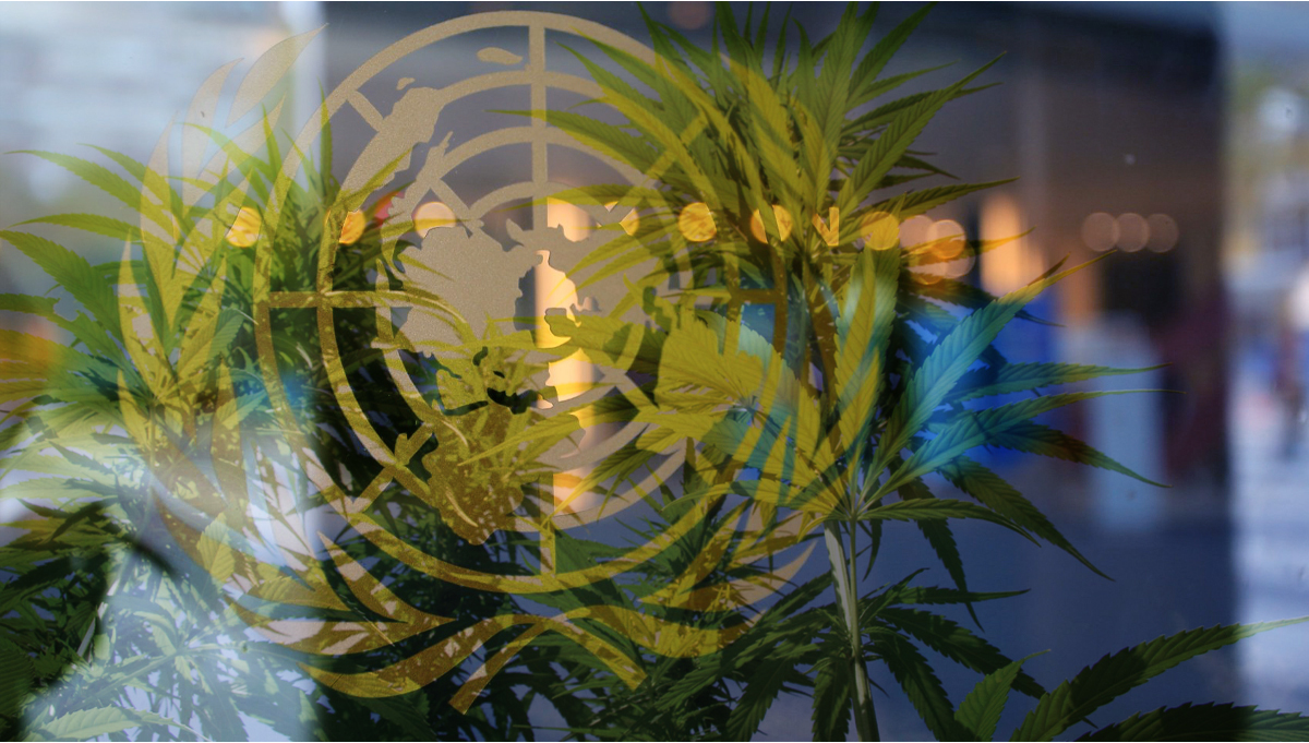 Die Vereinten Nationen empfehlen ein Verbot von Cannabis Werbung Fast