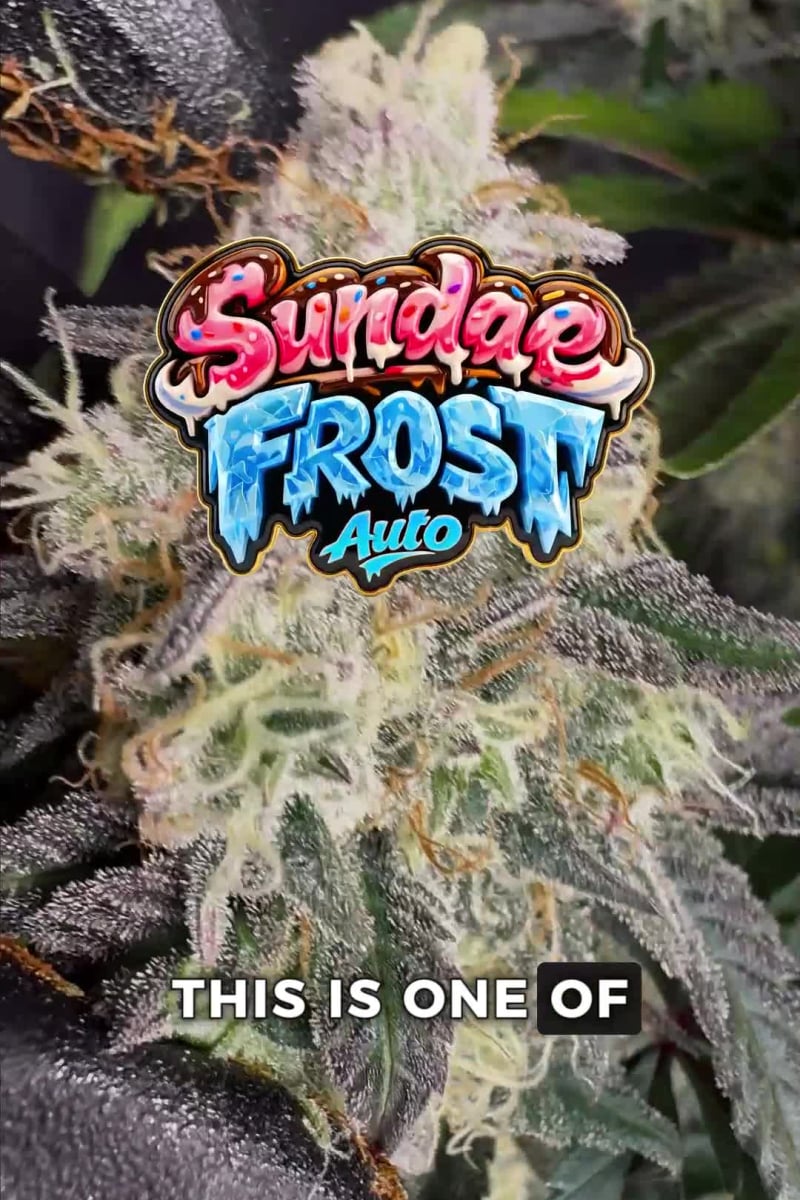 Sundae Frost Auto™ video