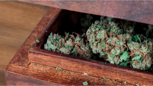 7 Best Ways To Stash Weed At Home