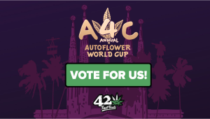 Votați-ne la Autoflower World Cup 2024, care va avea loc la Barcelona!