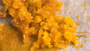 Cannabis Concentrates Live Resin