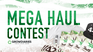 MOSTRACI IL TO MEGA-RACCOLTO E VINCI MEGA PREMI NEL FAST BUDS MEGA HAUL CONTEST