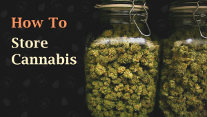 How to Store Cannabis