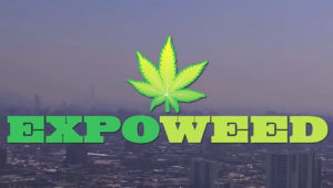 Fast Buds Heads to Santiago for Expoweed 2017