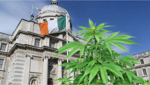 El programa de acceso al cannabis medicinal en Irlanda es saboteado por los médicos