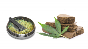 Concentrati: Dry Sift vs Bubble Hash 